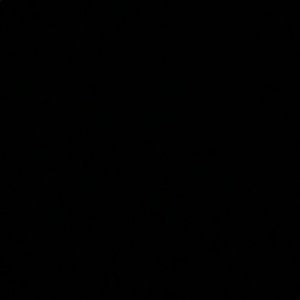 Meet your Posher, Adnan